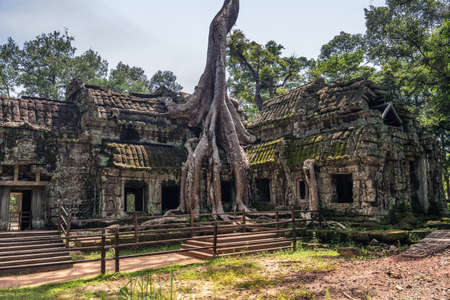 Banteay Kdei temple with silk cotton tree roots in Angkor, Siem Reap, Cambodia.