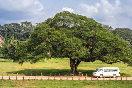 Bus in Angkor area, Cambodia