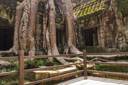 Banteay Kdei temple with silk cotton tree roots in Angkor, Siem Reap, Cambodia.