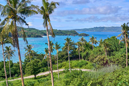 Beautiful lagoon view through the palm treesの写真素材