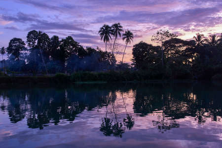 Beautiful scenic sunset palm trees reflection view on village riverの写真素材