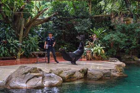 SINGAPORE - NOBEMBER 29, 2017: Splash Safari Showのeditorial素材