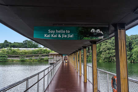 SINGAPORE - NOBEMBER 29, 2017: Bridge to Panda bearsのeditorial素材