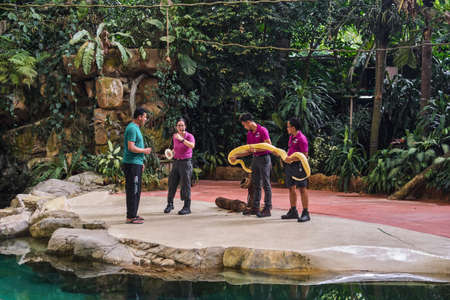 SINGAPORE - NOBEMBER 29, 2017: Rainfores Showのeditorial素材