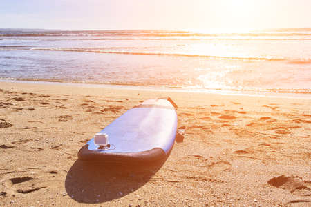 Surfing board on the beachの写真素材