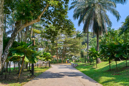 Perdana Botanical Garden alley view in Kuala Lumpur, Malaysiaの写真素材