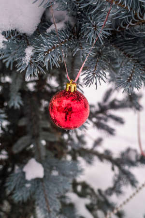 Christmas tree toyの写真素材