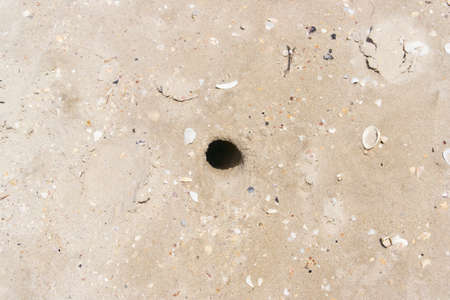 Crab hole on the beachの写真素材