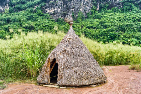 Tropical bamboo house