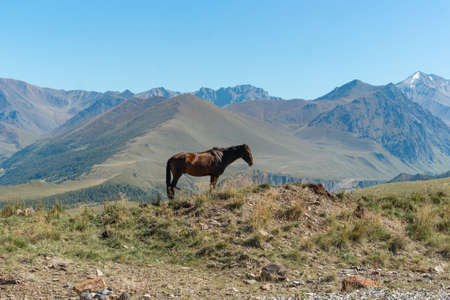 Scenic view of the highest peak in Europe, mount Elbrus with green hills on a Sunny summer day.