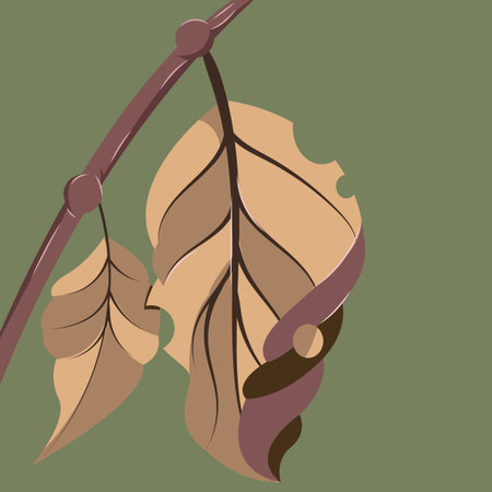 Dry Leaves Ready to Fallのイラスト素材