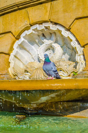 A pigeon sitting on afountain in pamplona, spain
の写真素材