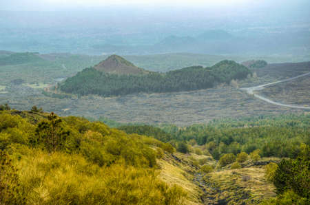 wild vegetation flourishing on slope of mount etna in Sicily, Italyの写真素材