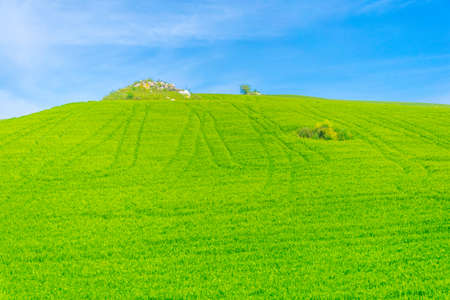 nature in the central Sicily, Italy