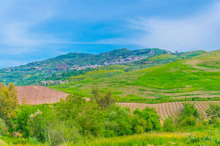 nature in the central Sicily, Italyの写真素材
