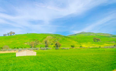 nature in the central Sicily, Italyの写真素材
