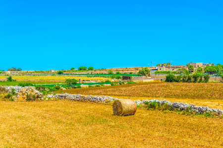 Countryside on Maltaの写真素材