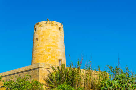 View of an old windmill on Gozo, Maltaの写真素材