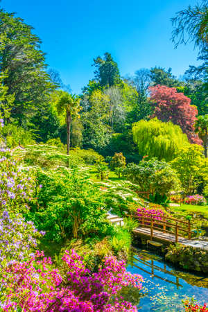 Japanese garden inside of the Powerscourt Estate in irelandの写真素材