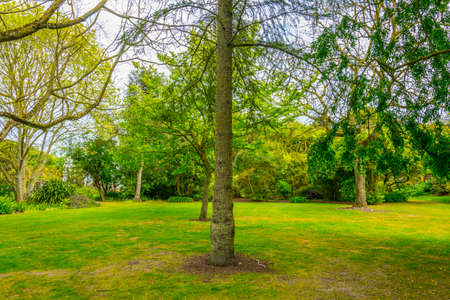 Malahide city park, Irelandの写真素材