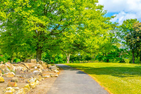 People's garden in the Phoenix park in Dublin, Irelandの写真素材