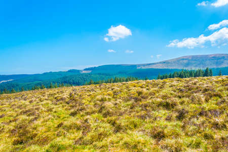 Irish countryside near Glendalough