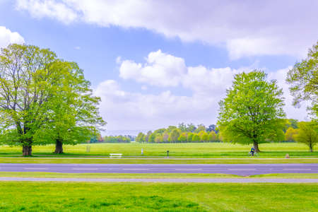 Phoenix park in Dublin, Ireland