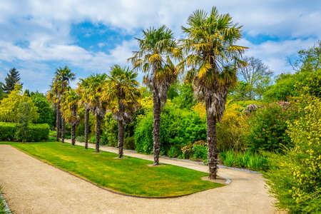 Talbot botanical garden in Malahide, Irelandの写真素材