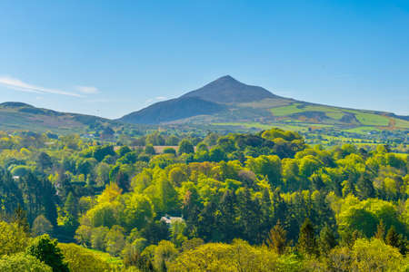 Sugarloaf hill in Irelandの写真素材