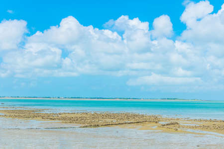 Countryside of Ile de Re in France