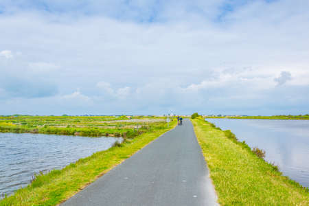 Oyster beds stretched across Ile de Re in France