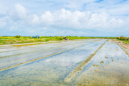 Oyster beds stretched across Ile de Re in France