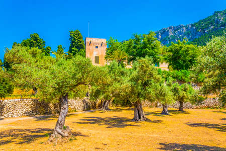 Gardens at Monestir de Miramar at Mallorca, Spainの写真素材