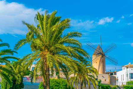 A Windmill at Palma de Mallorca, Spainの写真素材