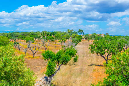 Ruins of Talayot Capocorb Vell at Mallorca, Spainの写真素材