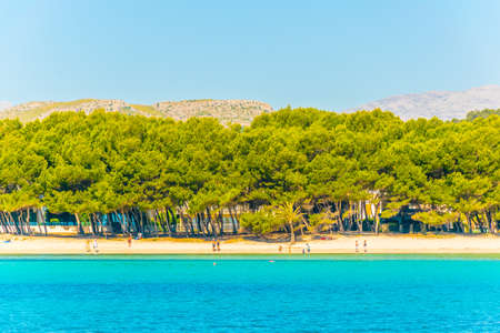 Holiday resorts stretched alongside Alcudia beach on Mallorca, Spainの写真素材