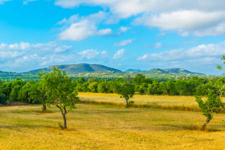 Countryside of Mallorcaの写真素材