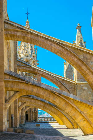 Rooftop of the cathedral in Palma de Mallorca, Spain