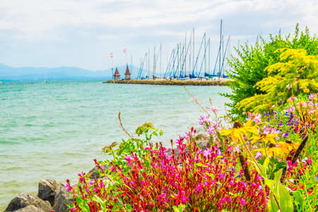 Geneva lake viewed behind flowers in Switzerland