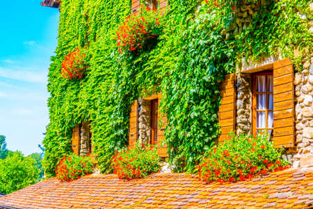 Traditional houses in Yvoire covered with ivy, France