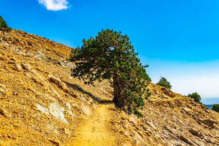 Hiking track at Troodos mountains on Cyprus