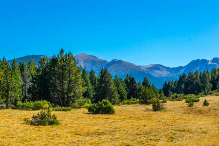 Forests and meadows of Andorra