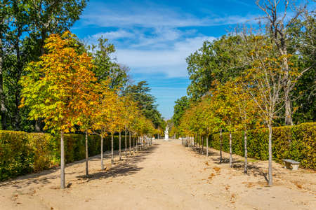 Alley in a garden of la Granja de San Ildefonso in Spainのeditorial素材
