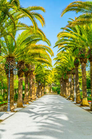 Ibleo gardens in Ragusa, Sicily, Italyの写真素材