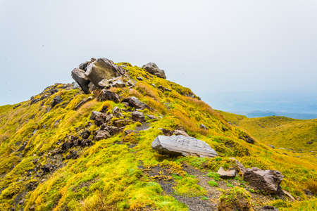 wild vegetation flourishing on slope of mount etna in Sicily, Italy