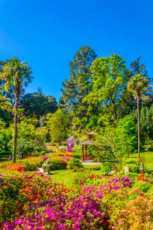 Japanese garden inside of the Powerscourt Estate in irelandの写真素材