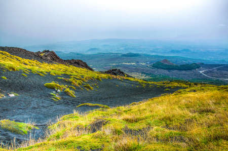 wild vegetation flourishing on slope of mount etna in Sicily, Italyの写真素材