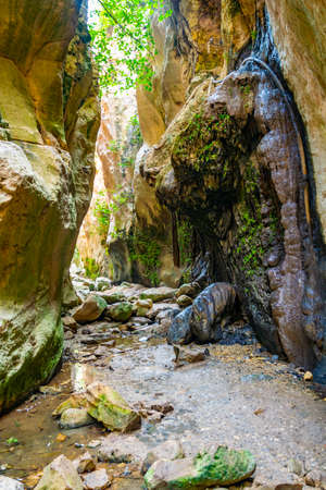 Avakas gorge on Cyprusの写真素材