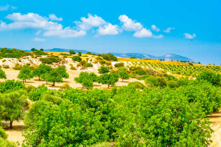 Hilly countryside of Cyprus near Akamas peninsulaの写真素材