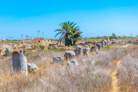Ruins of ancient Salamis archaeological site near Famagusta, Cyprusの写真素材